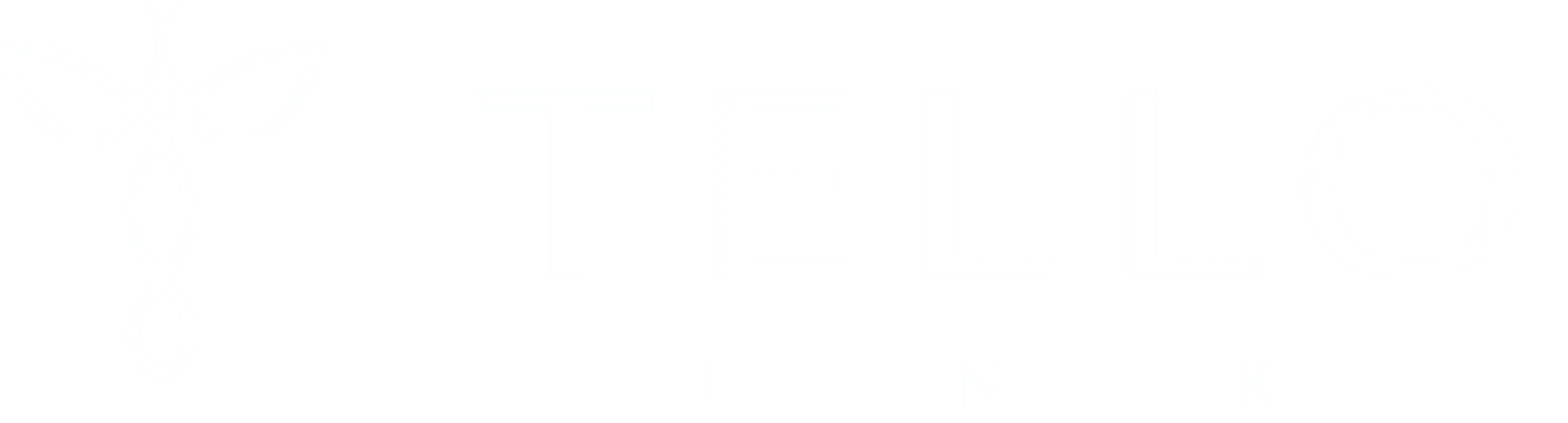 imotor